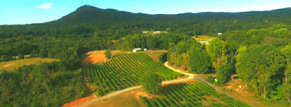Currahee Vineyards